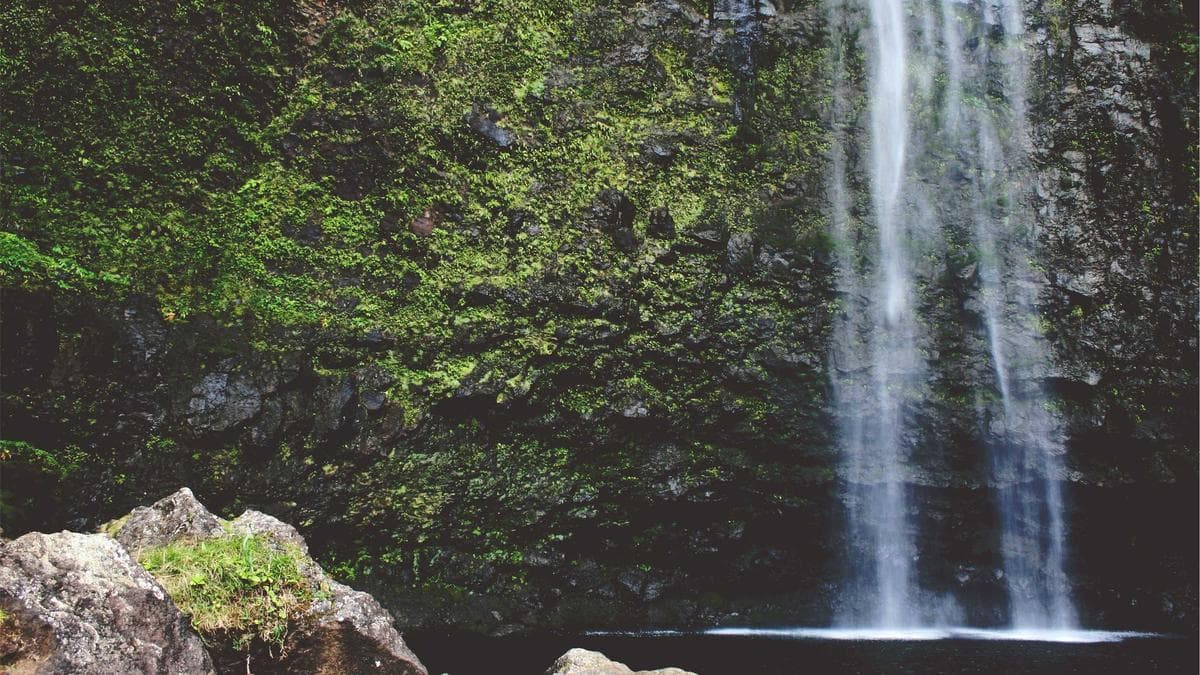 From One Photo to a Talking Avatar in 10 Minutes