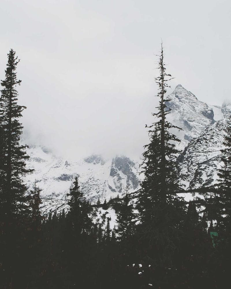 Dawn Hiking Trail AI generator template